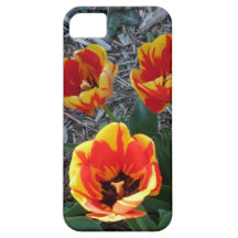 Tulips iphone Case iPhone 5 Covers
