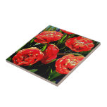 Tulips of Many Petals Ceramic Tile