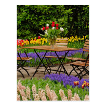 Tulips of table in garden, Keukenhof Gardens, Post Card