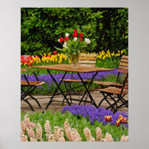 Tulips of table in garden, Keukenhof Gardens, Print