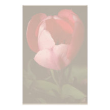 Tulips Stationery Letterhead