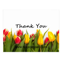 Tulips Thank-You Customisable Post Card