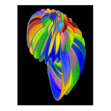 Turban Shell Postcard