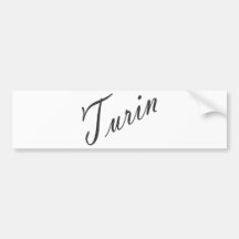 Turin Porducts! Bumper Stickers