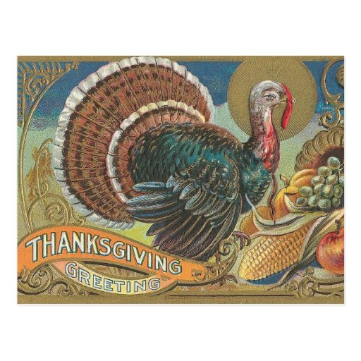 Turkey Cornucopia Thanksgiving Greeting Postcards