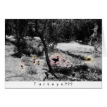 Turkey for Thanksgiving! Cards