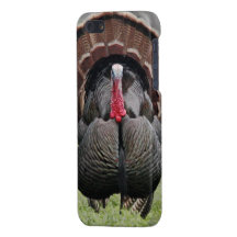 Turkey Season iPhone 5 Cover - Savvy