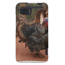 turkey, thanksgiving HTC vivid / raider 4G case