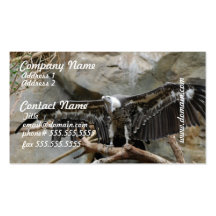 Turkey Vulture Business Cards