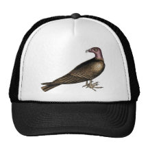 Turkey Vulture Hat