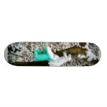 Turquoise Birdhouse in Winter Skateboard Deck