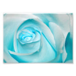 Turquoise Ice Rose Photo Art
