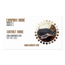 Turtle Business Card