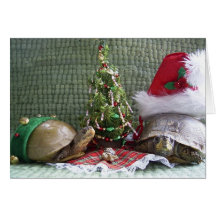Turtle Christmas Cards