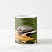 Turtle Coffee Mug