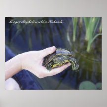 Turtle, hand, and pond poster