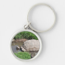 Turtle Keychain