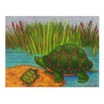 Turtle Pals Postcard