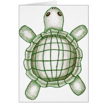 Turtle Sketch Cards