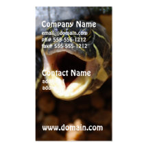 Turtle with Mouth Open Business Cards