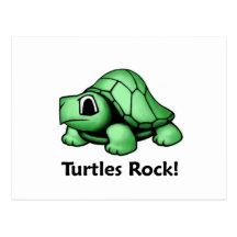 Turtles Rock! Post Card