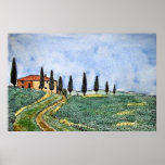 Tuscan Path Poster