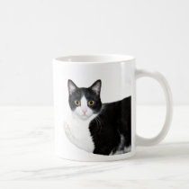 Tuxedo cat mugs