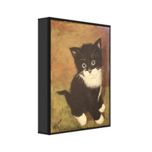 Tuxedo Kitten Stretched Canvas Prints