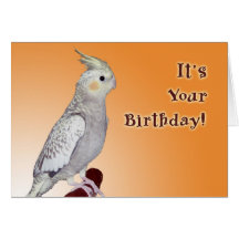 Tweet Yourself Birthday Greeting Cards