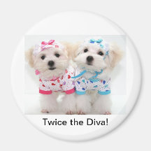 Twice the Diva! Magnets
