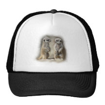 Twin baby Meerkats Hats