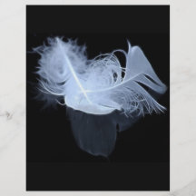 Twin flame feathers and reflection flyers