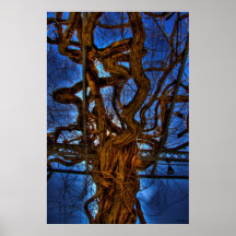 Twisted Poster