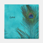 Two Aqua Peacock Feathers Magnets