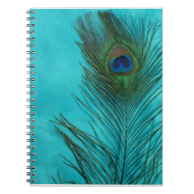 Two Aqua Peacock Feathers Spiral Note Book