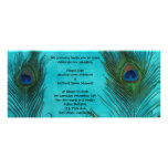 Two Aqua Peacock Feathers Wedding Invitation