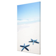 Two blue starfish at water's edge on tropical stretched canvas print