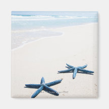 Two blue starfish at water's edge on tropical refrigerator magnets