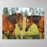 Two Brown Horses in Deep Horse Thought Print