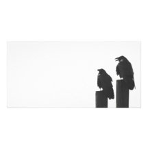 Two crows on posts personalized photo card