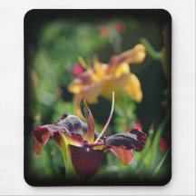 Two Daylilies Mousepad