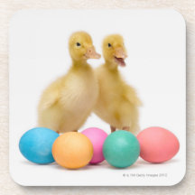 Two ducks with Easter Eggs Beverage Coasters