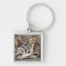 Two female Golden Monkeys with newborns Keychain