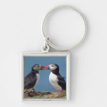 Two funny puffins keychains