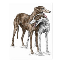 Two Greyhound Dog Friends Postcards