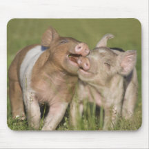 Two Happy Piglets Mousepad