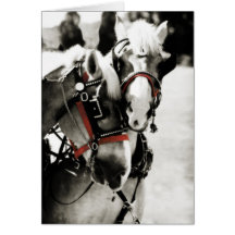 Two Horses Holiday Greeting Card