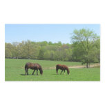 Two horses in field with trees and pond sticker