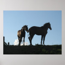 Two Horses Print