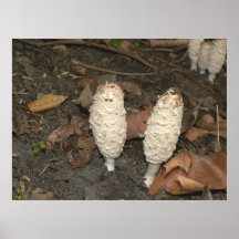 Two is a pair print